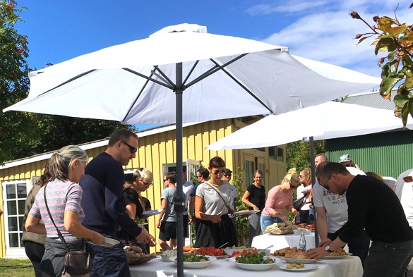 Sommersild6