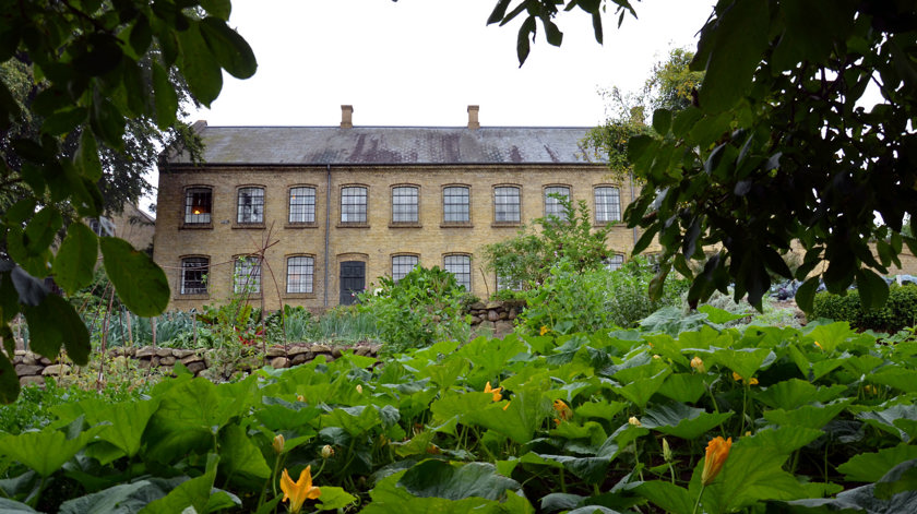 Middag med afgrøder fra Forsorgsmuseets have