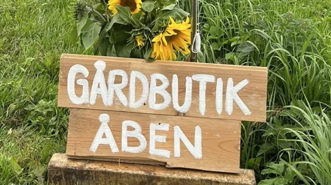 Ud i det blå – med smag på!